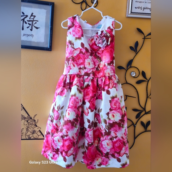 Ephex size 9 formal dress - Picture 1 of 3